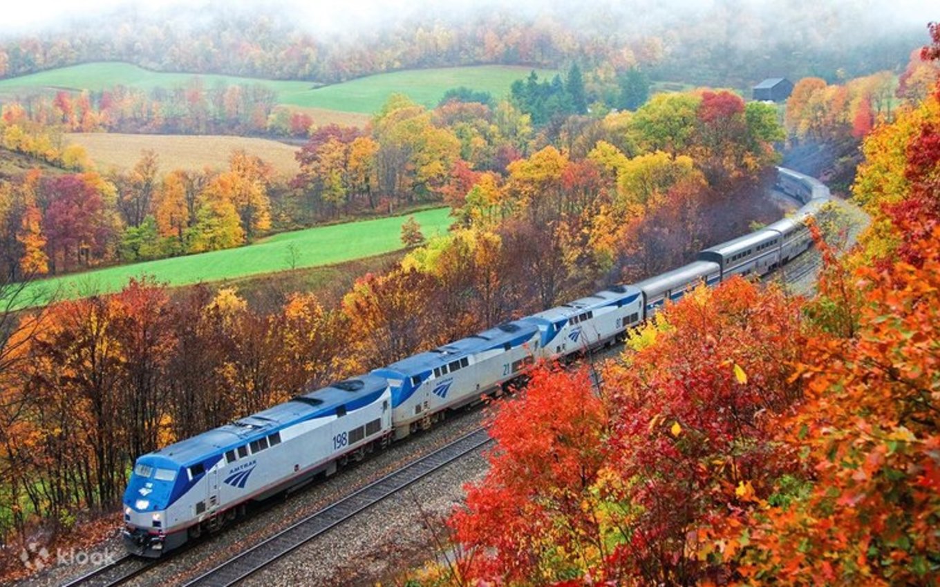 Intercity train passing through fall foliage