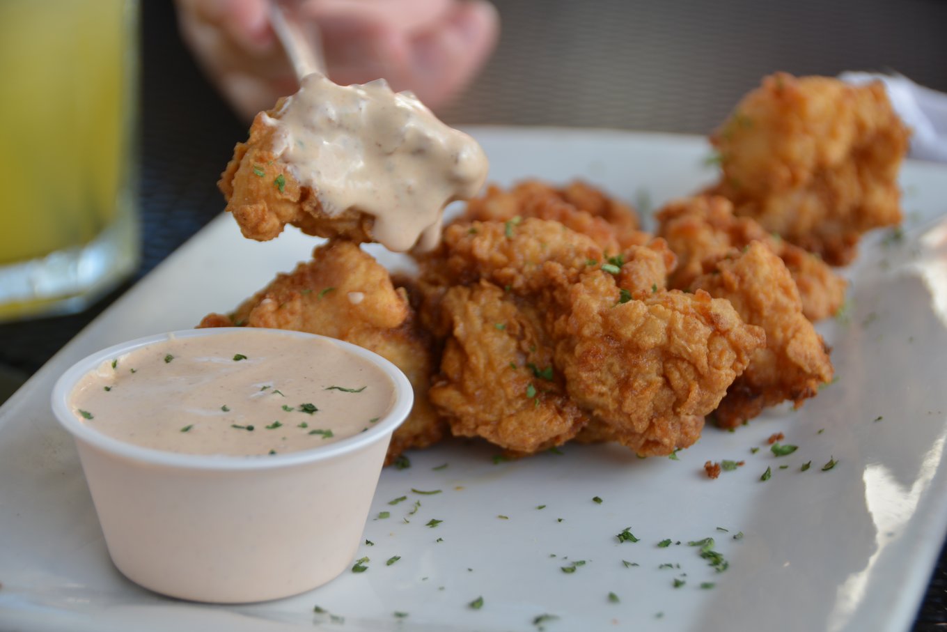 Fried gator bites with creamy dipping sauce on a white plate