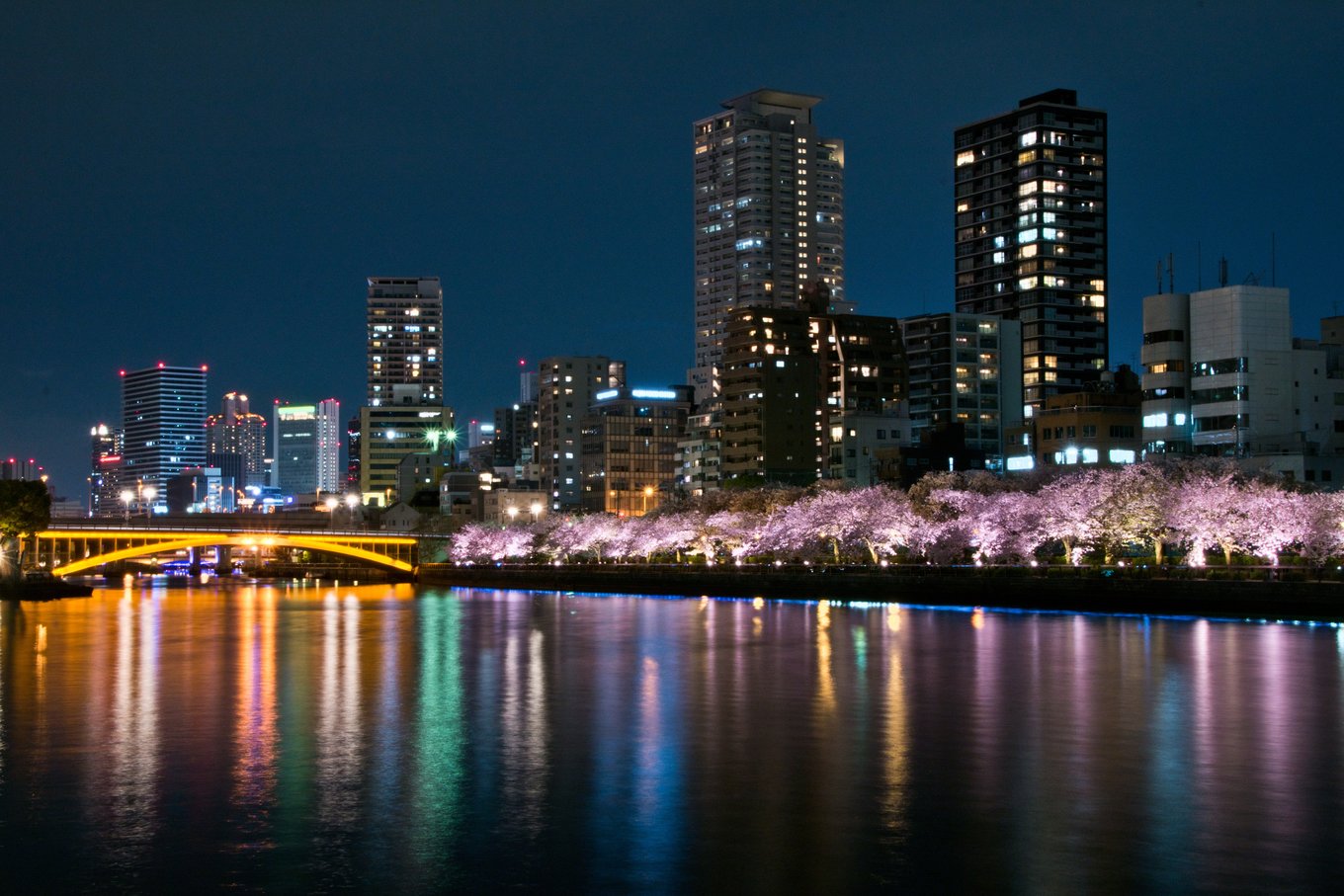 Osaka city skyline at night with illuminated bridge and sakura trees by the river