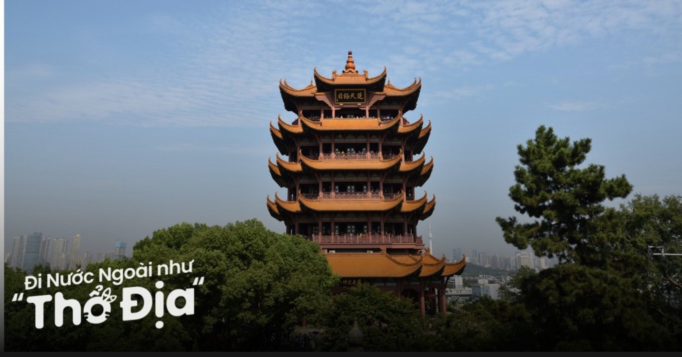 quan-tuoc-lau