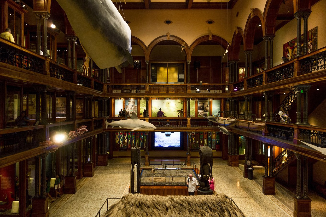 Interior hall of Bishop Museum Honolulu with Hawaiian artifacts and suspended marine models
