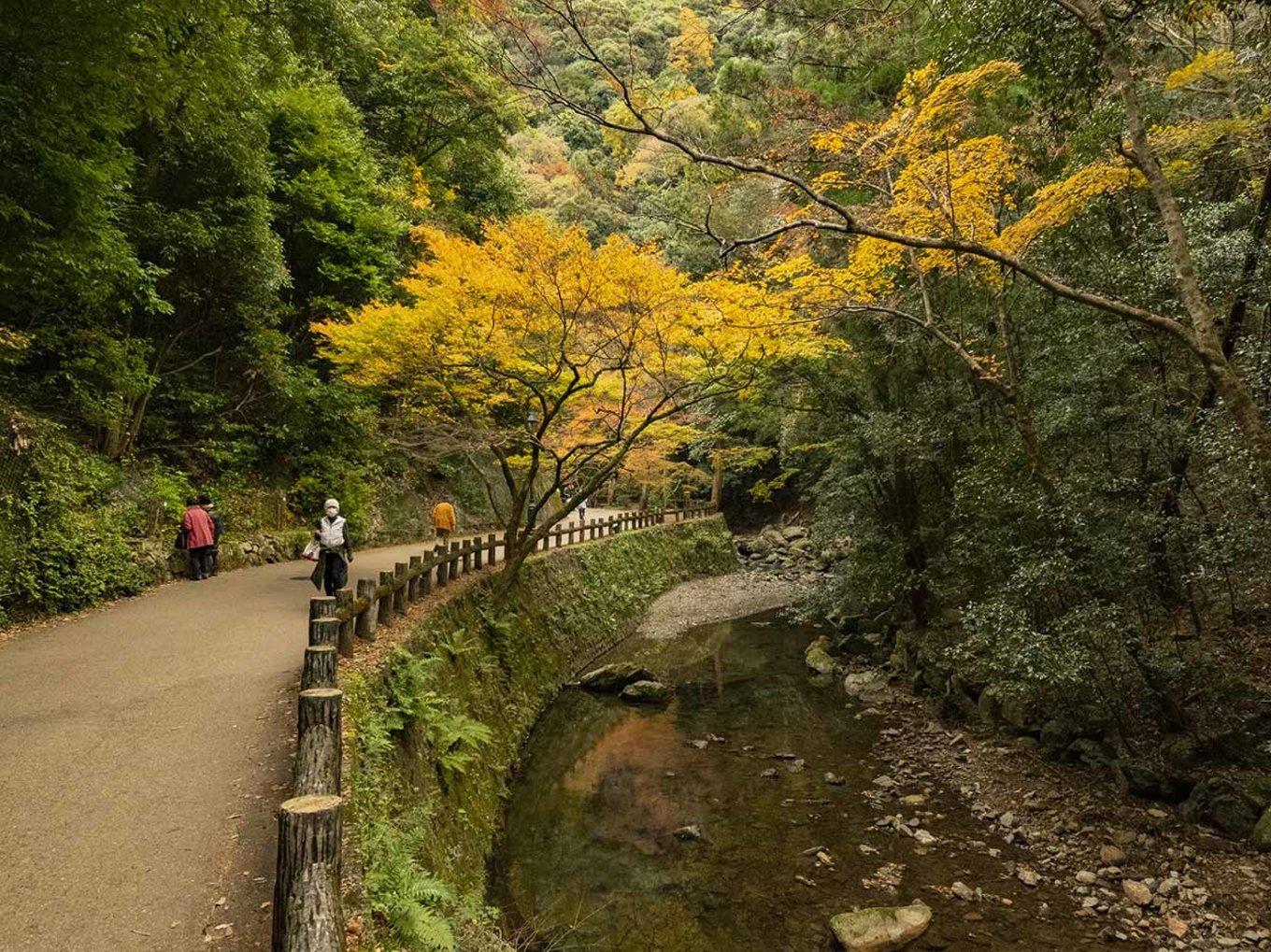 Nakanoshima Park | Photo Credit: Airial