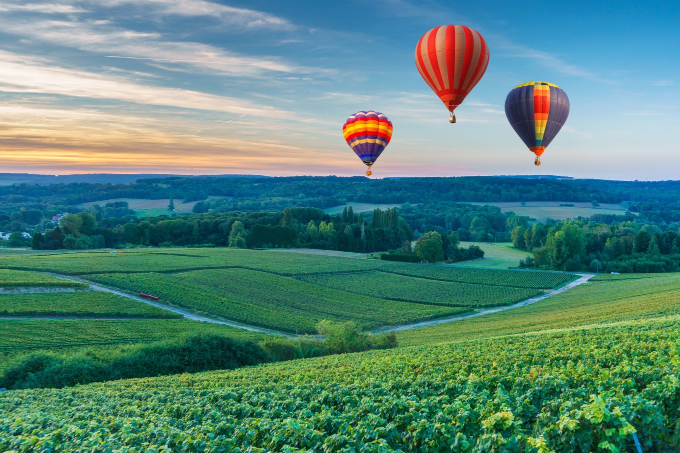 Hot air balloons above Bordeaux vineyards, one of the nicest cities in France wine regions