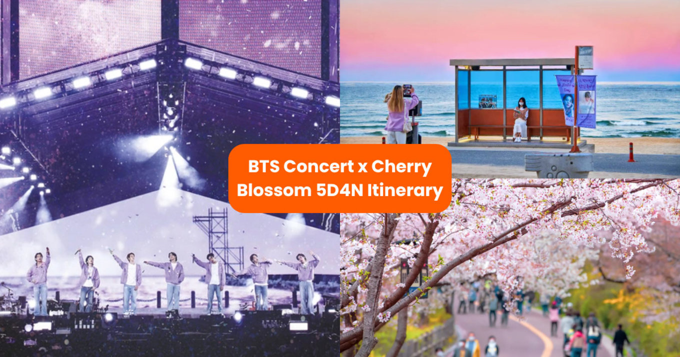 SG - BTS seoul concert x cherry blossom itinerary