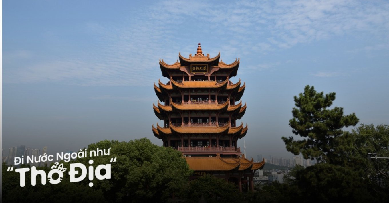 hoang-hac-lau