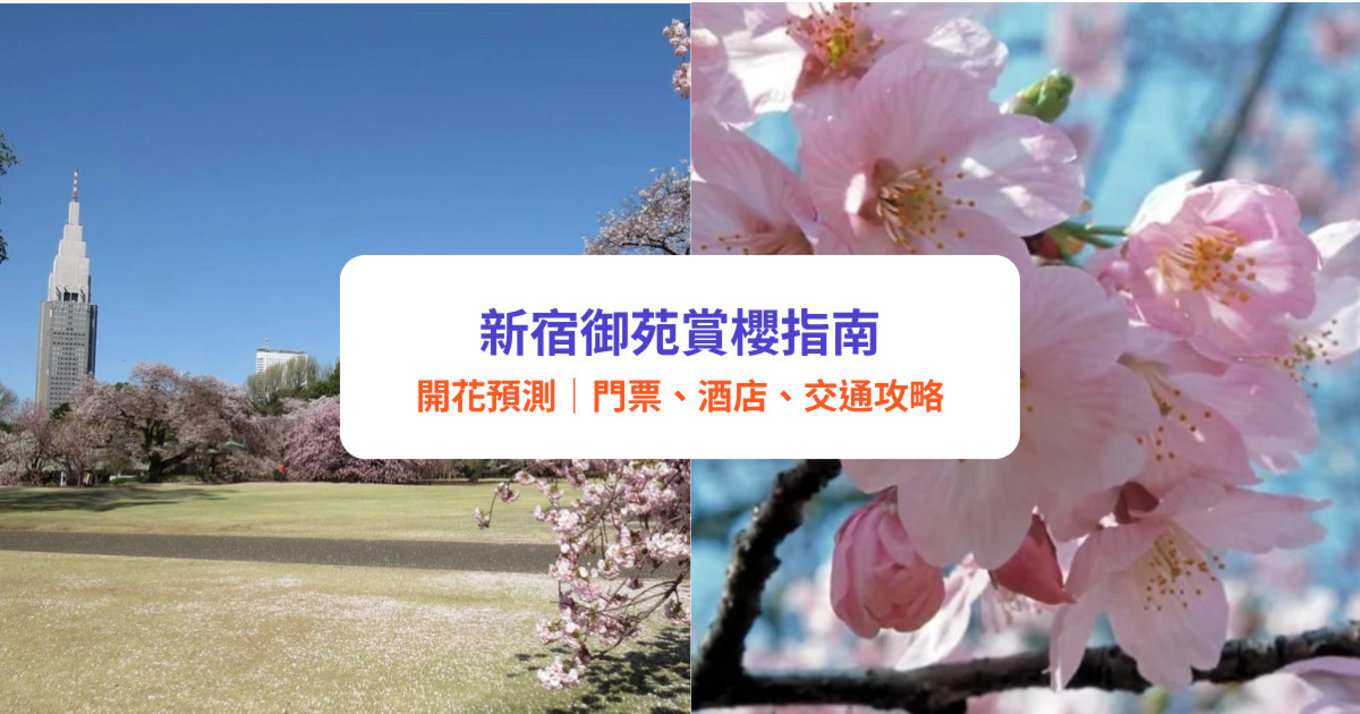 東京 新宿御苑 東京新宿御苑 東京櫻花 新宿御苑櫻花 東京賞櫻 新宿御苑賞櫻 東京櫻花2025 新宿御苑櫻花2025 東京賞櫻2025 新宿御苑賞櫻2025