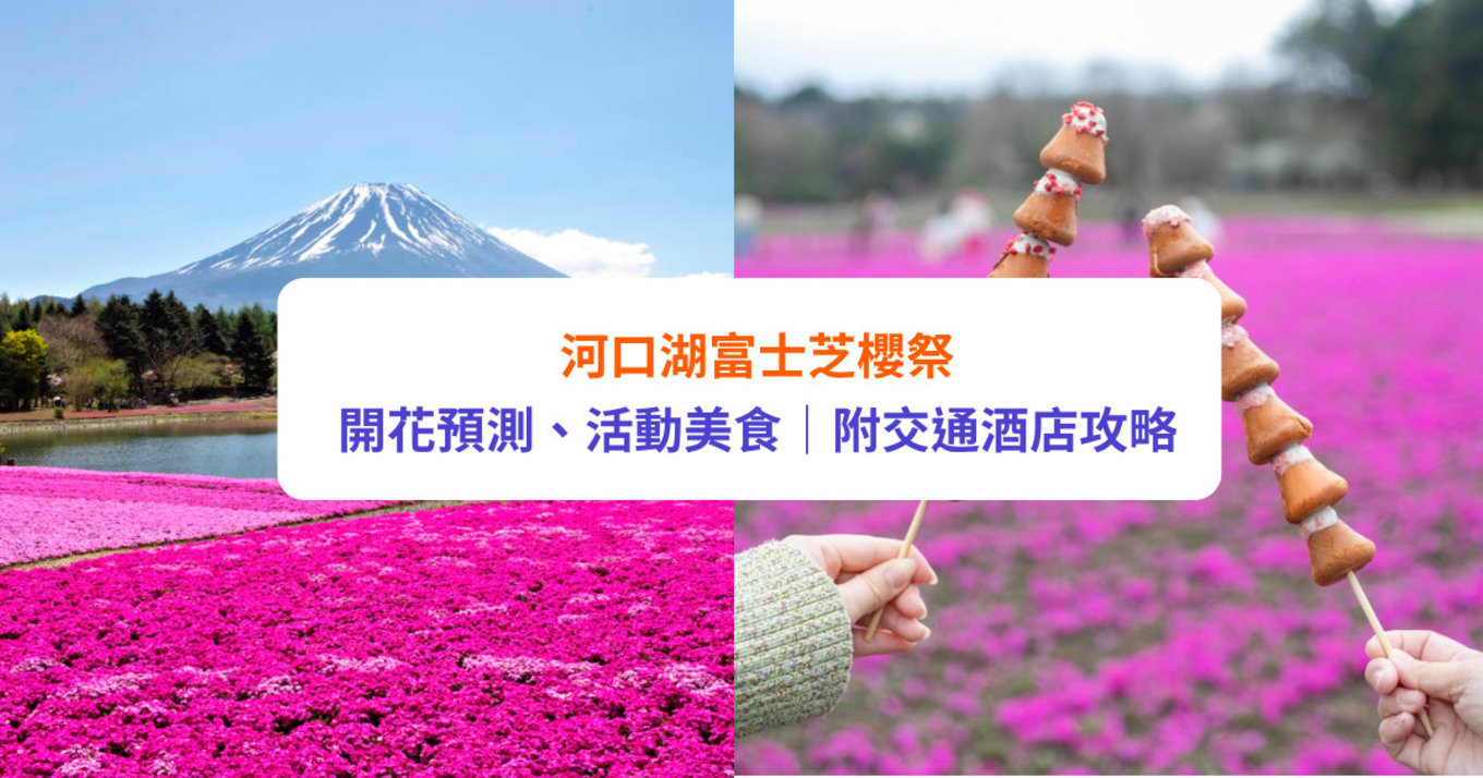 富士芝櫻 河口湖 富士芝櫻祭 河口湖櫻花 富士芝櫻祭2025 河口湖2025