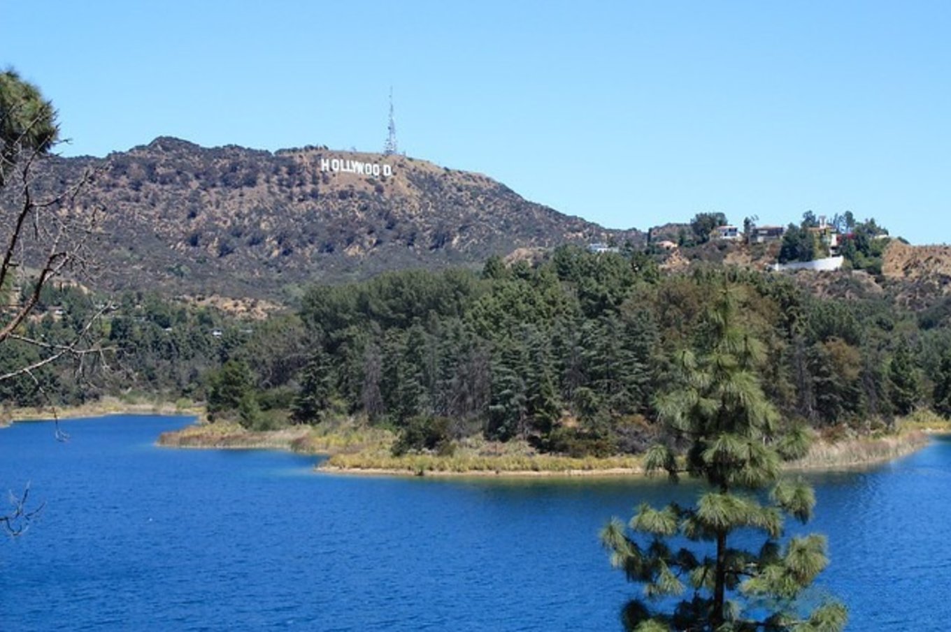 View of the Hollywood Sign on a hillside overlooking a blue lake with trees in the foreground