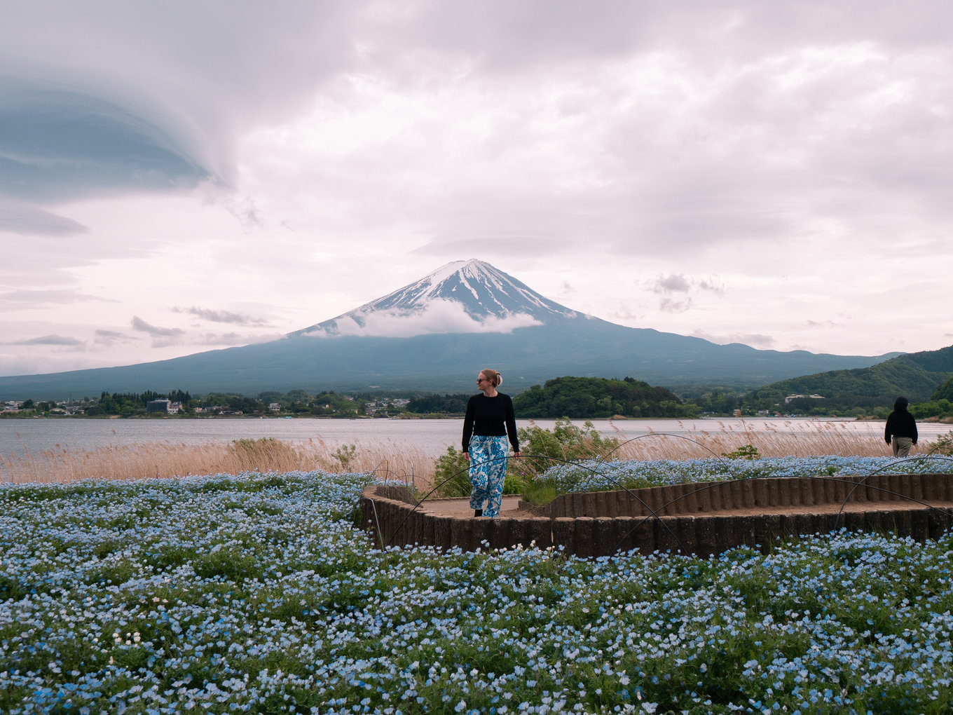 Woman surrounded by flowers with Mount Fuji in the background at Hakone