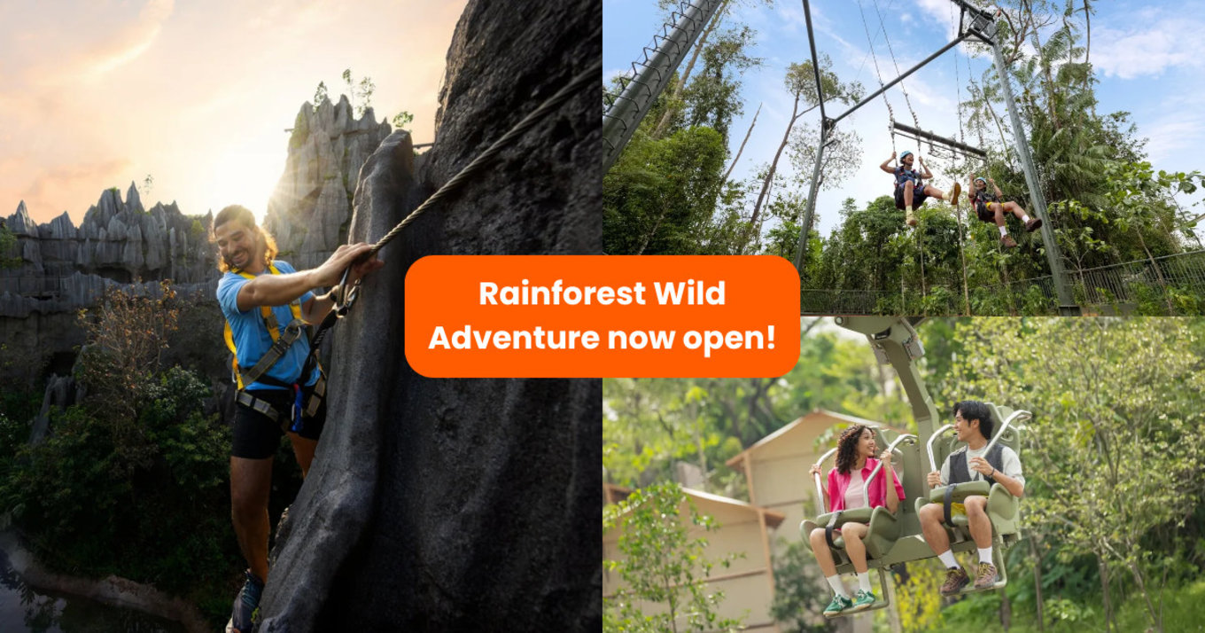 Mandai Rainforest Wild Adventure