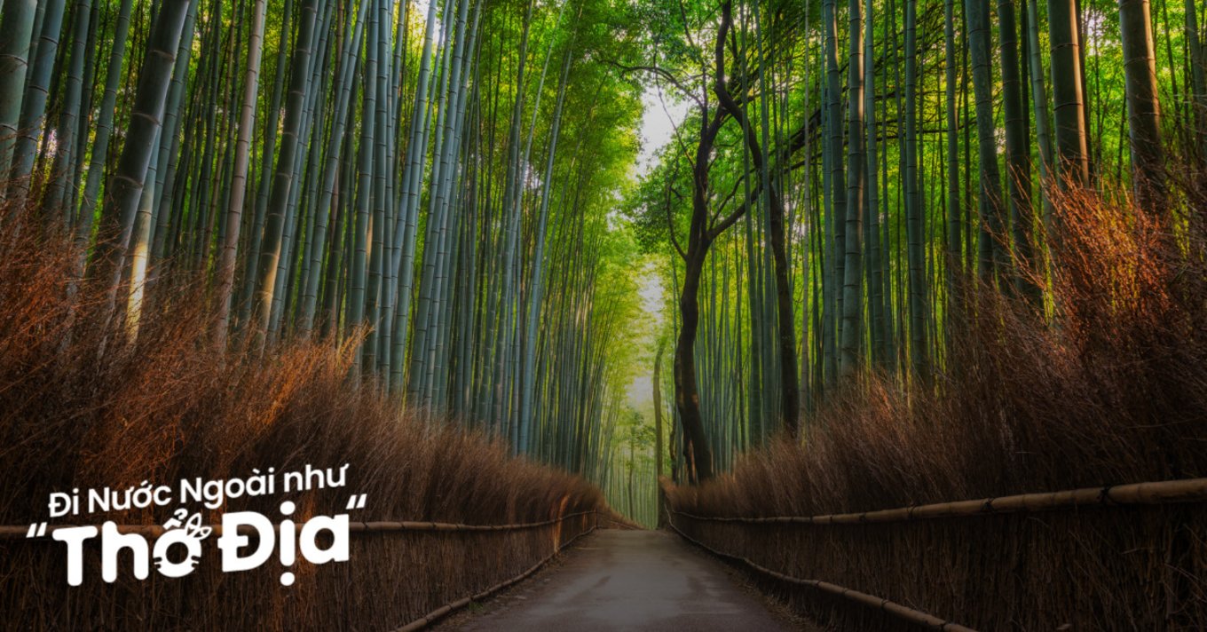 lich-trinh-arashiyama