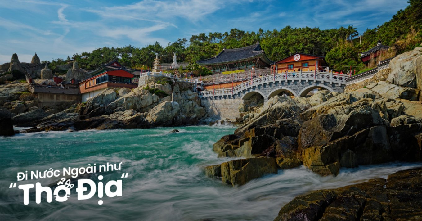 lich-trinh-busan-phim-anh