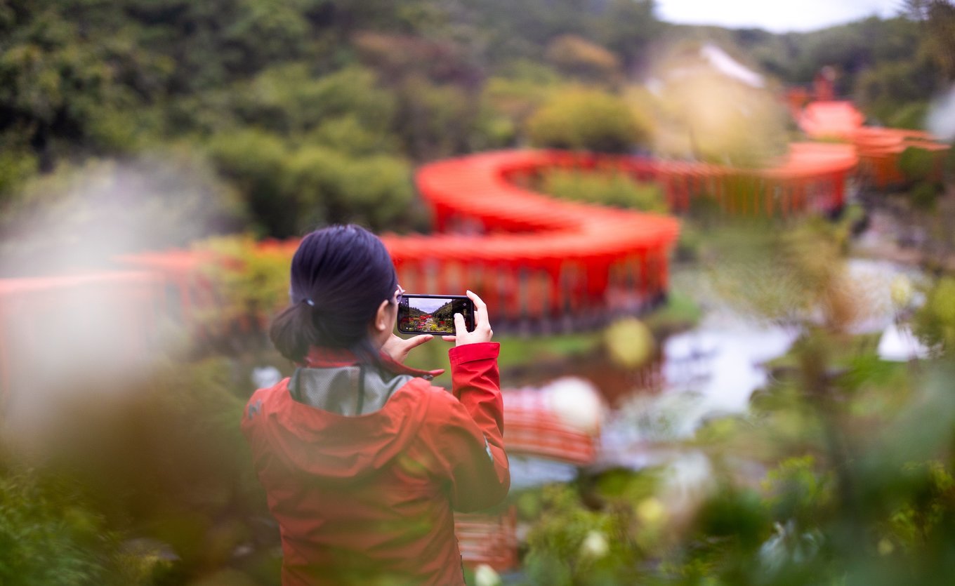 Seeing the Torii gates in person