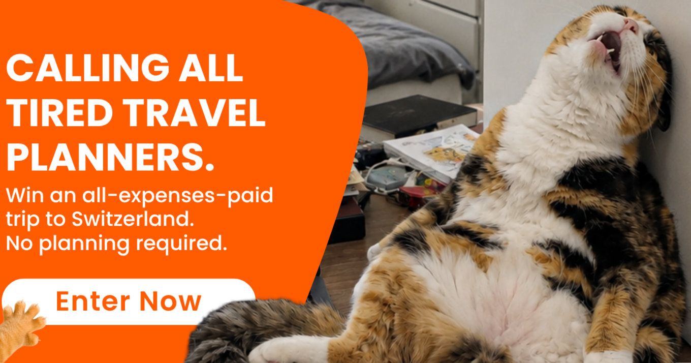 travel planner giveaway banner with cat looking tired