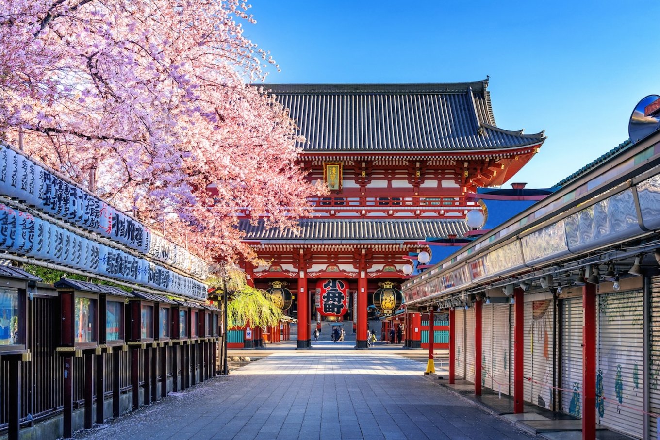 Asakusa's Sensoji Temple Tokyo