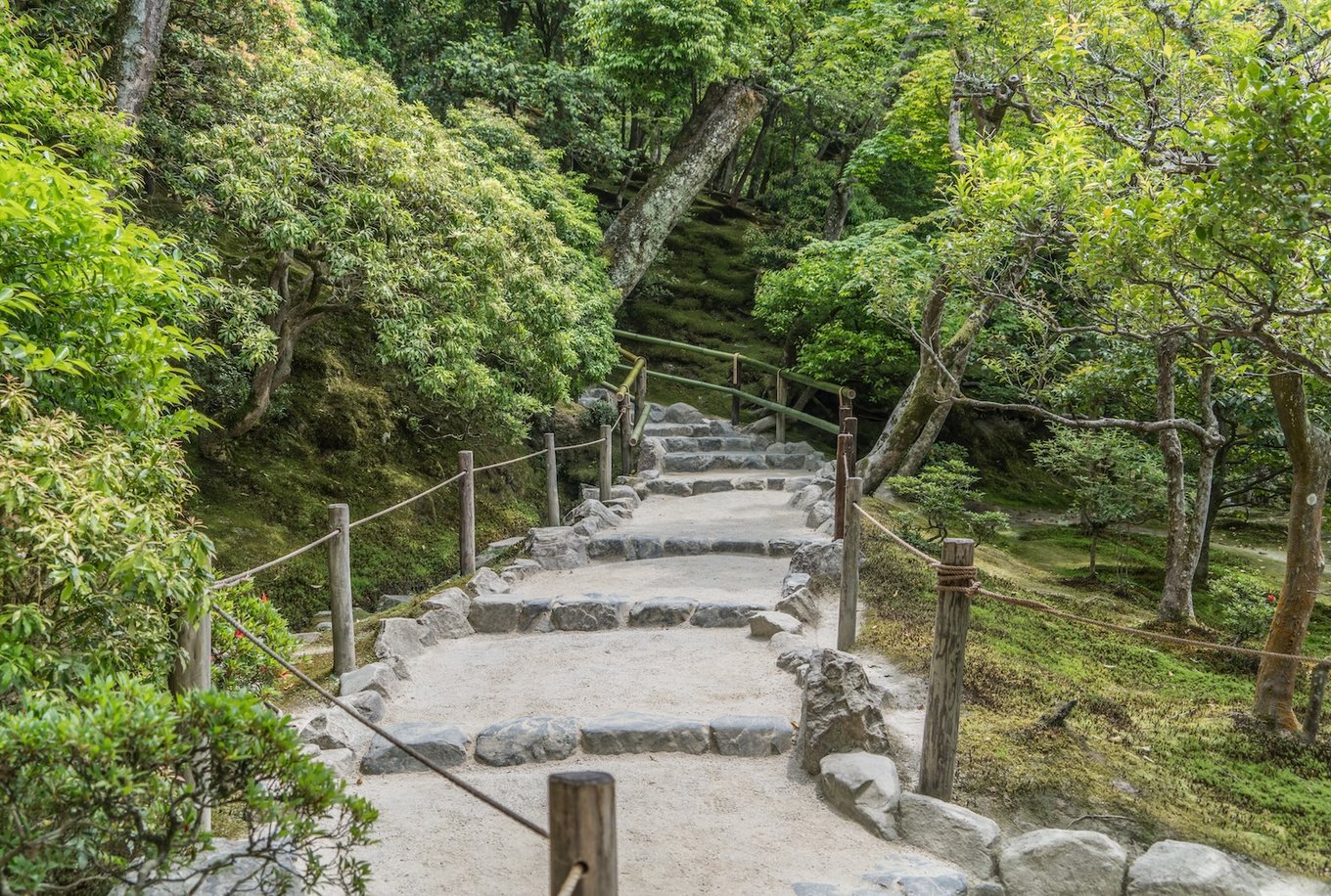 Kyoto Hiking