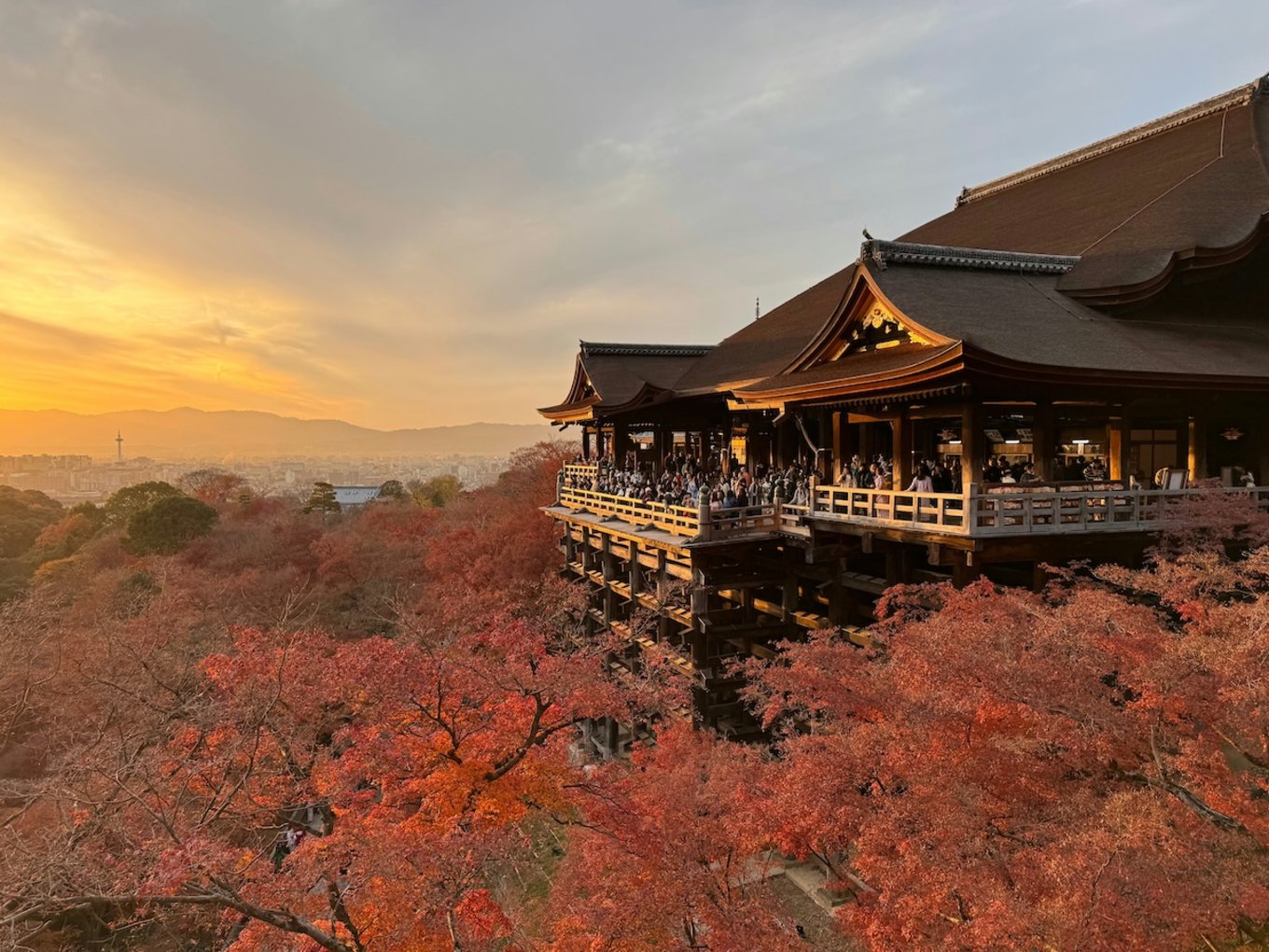 kyoto-things-to-do