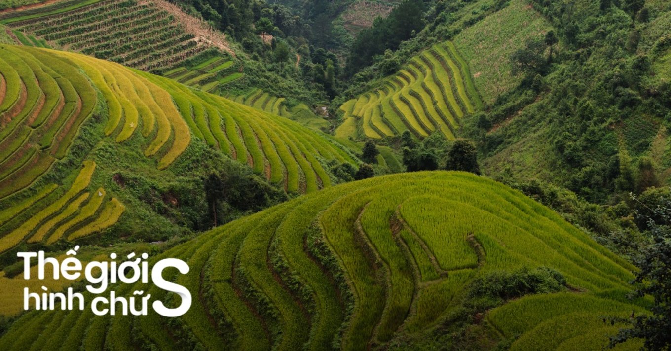 sapa