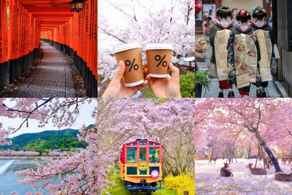 [Kyoto Nara Arashiyama Train Cherry Blossom Day Tour] Hotel Pickup Available | Small Group | Arashiyama Train & Nara Deer & Gion Geisha Street & Thousand Torii Gates Fushimi Inari & Togetsukyo Bridge & Bamboo Forest Trail | Depart from Osaka