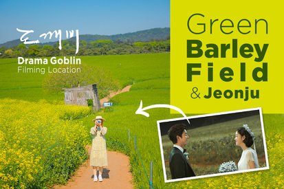 Jeonju & Green Barley Field