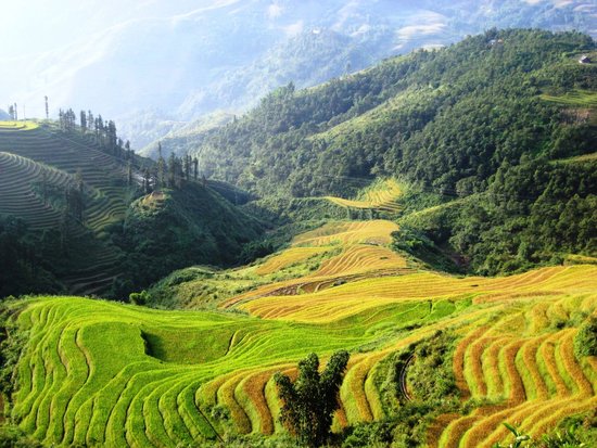 Top 10 Sapa Tours 2024 - Klook Singapore