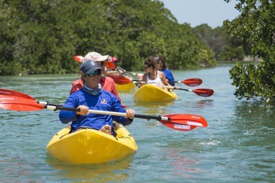 Top 10 Key West Water activities 2023 - Klook