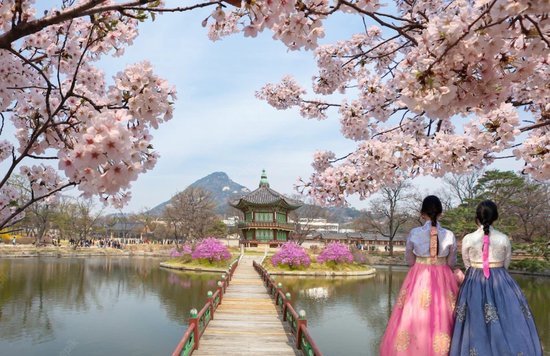 Top 10 South Korea Multi-day tours 2023 - Klook United States