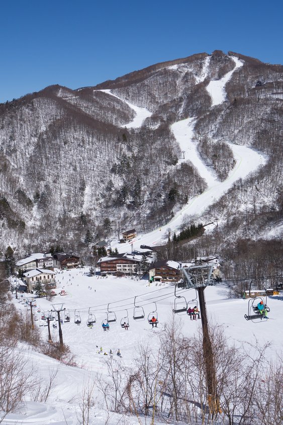 Top 10 Nagano Skiing & snowboarding 2025 - Klook