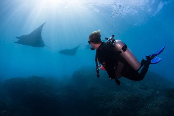 Adventure Scuba Diving Bali - All You Need to Know BEFORE You Go (2024)