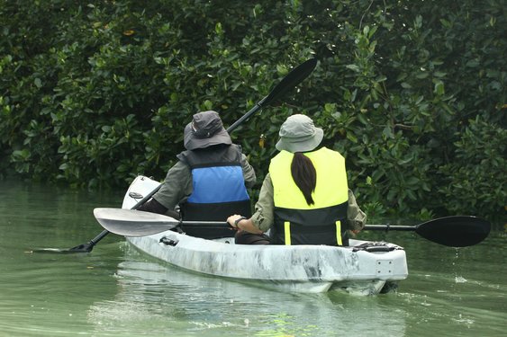 Top 10 Kota Tinggi Kayaking 2025 - Klook
