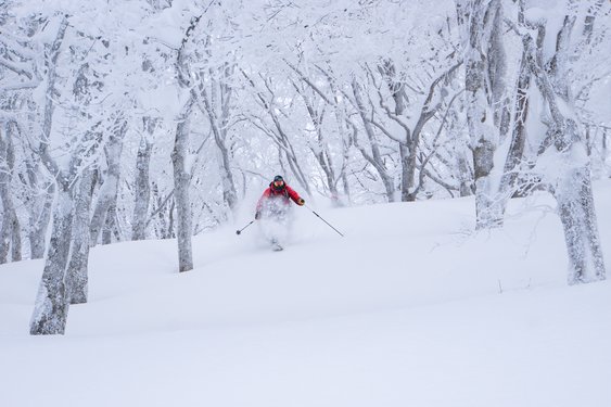 Top 10 Nagano Skiing & snowboarding 2025 - Klook