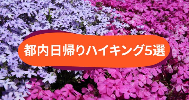 初心者も安心・東京から日帰り＆電車で行けるハイキングコース5選