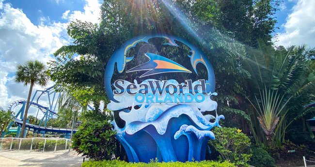Your Guide to SeaWorld Orlando - Klook Travel Blog