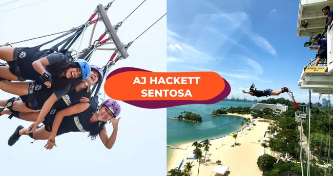 AJ Hackett Sentosa: Tick Off Your Bucket List In Singapore With The ...