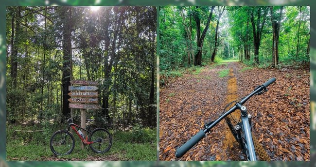 Alcanzar obvio Clínica 9 Biking Trails Near Manila For A Much Needed Change of Scenery! - Klook  Travel Blog