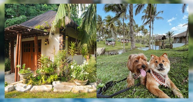 Need A Change Of Scenery? Visit These 10 Charming Farm Resorts In Laguna -  Klook Travel Blog
