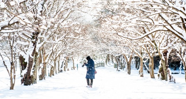 Du lịch Hàn Quốc mùa đông: Hàn Quốc không chỉ là địa điểm du lịch mùa hè đẹp mà còn là nơi lý tưởng để trải nghiệm mùa đông tuyết phủ. Bạn sẽ được thưởng thức cảnh quan tuyệt đẹp, tham gia các hoạt động vui chơi trên tuyết và thưởng thức ẩm thực ngon, đặc biệt là món lẩu gà Hàn Quốc đang được yêu thích nhất.