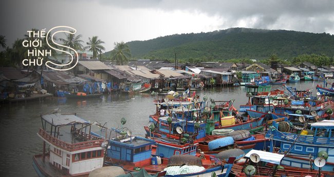 Hải sản tươi sống nhập khẩu vào làng cá Phú Quốc được cung cấp từ đâu?
