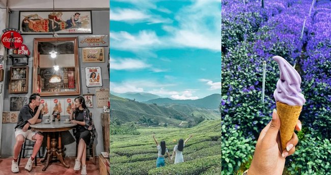 15 Best Things To Do In Cameron Highlands, Malaysia: Flower Fields ...