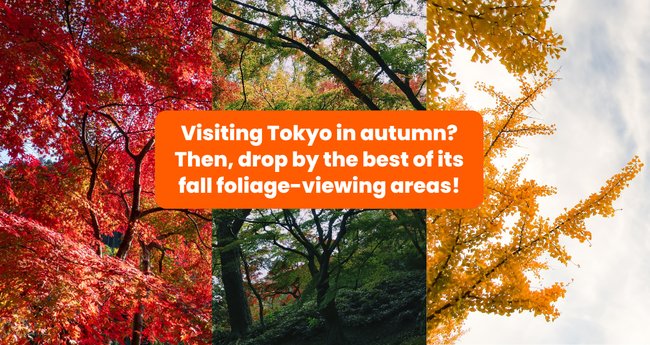 12 Can’t miss Autumn Attractions in and Around Tokyo Klook Travel Blog