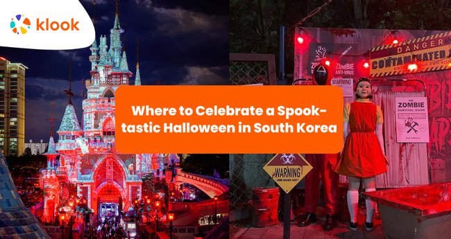 Where to Celebrate a Spook-tastic Halloween in South Korea - Klook