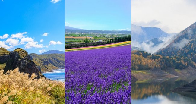 大自然に感動!北海道ならではの絶景スポット11選 | Klookブログ 大自然に感動!北海道ならではの絶景スポット11選 | Klookブログ