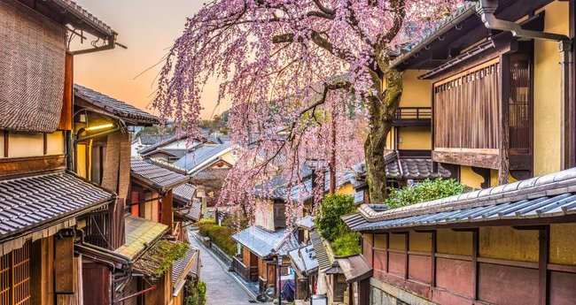 2023最新】京都のお花見・桜名所15選｜絶景スポット・おすすめ