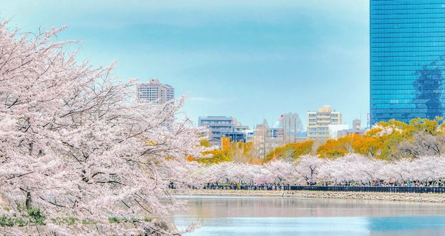 2023最新】大阪のお花見・桜名所15選｜絶景スポット・おすすめ