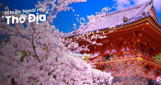Du lịch Nhật Bản vào mùa hoa anh đào là điều mà bạn không thể bỏ lỡ. Những bông hoa đốm hồng tràn ngập khắp cả thành phố làm say đắm bất cứ ai. Hãy xem các hình ảnh trên Klook Blog để cảm nhận được cảm giác này nhé.