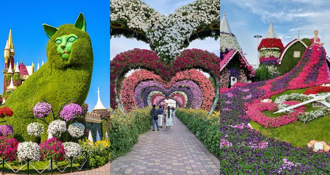 Dubai Miracle Garden, Slice of Heaven on Deserts - Traveldigg.com