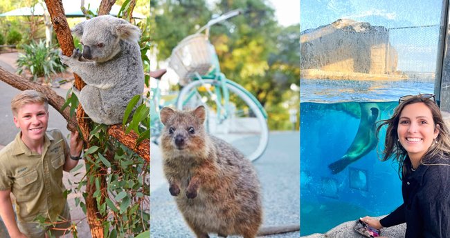 Furry and Fuzzy: 10 of Australia's Most Lovable Animals and Where to See  Them - Klook Travel Blog