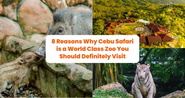 8 Reasons Why Cebu Safari is a World Class Zoo You Should Definitely ...