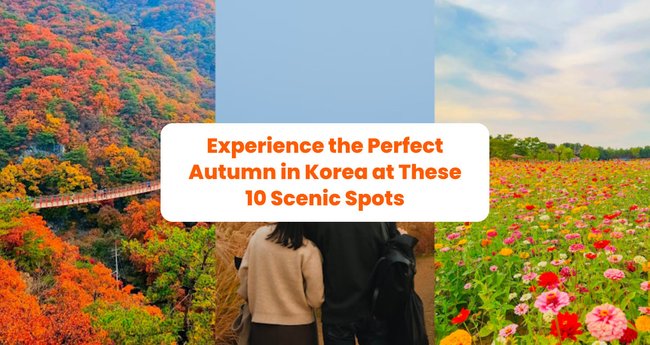 Experience the Perfect Autumn in Korea at These 10 Scenic Spots - Klook  Travel Blog