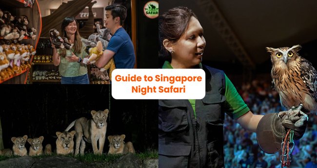 Night Safari Guide: All You Need To Know About The Shows, Trails, Trams ...